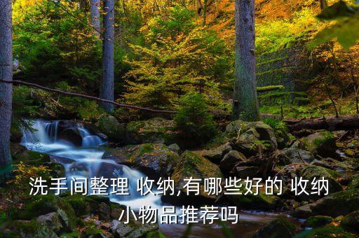 洗手間整理 收納,有哪些好的 收納小物品推薦嗎