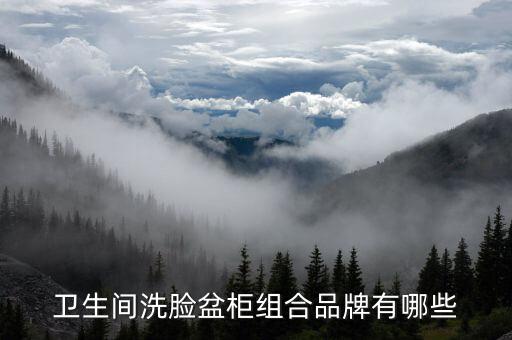 衛(wèi)浴臺盆邊柜圖片大全集