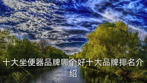 有個(gè)衛(wèi)浴品牌叫什么恩