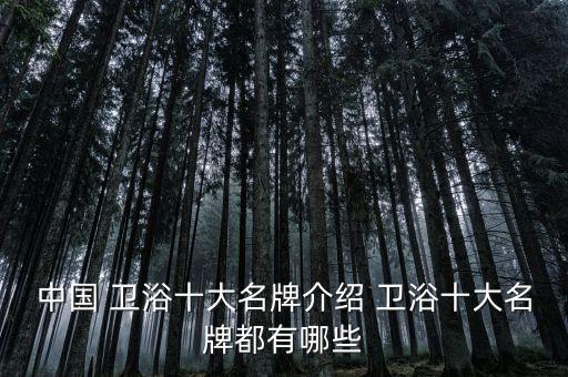 中國 衛(wèi)浴十大名牌介紹 衛(wèi)浴十大名牌都有哪些