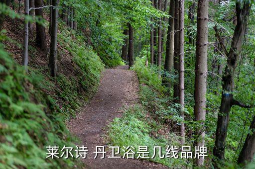 萊爾斯丹衛(wèi)浴廠家電話,衛(wèi)浴萊爾斯丹排名幾位