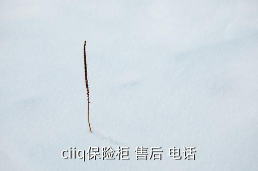 ciiq保險(xiǎn)柜 售后 電話