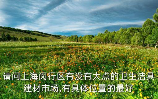 請問上海閔行區(qū)有沒有大點的衛(wèi)生潔具建材市場,有具體位置的最好
