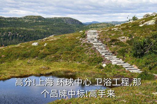 高分!上海 環(huán)球中心 衛(wèi)浴工程,那個品牌中標!高手來