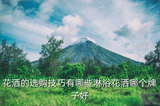 花灑的選購技巧有哪些淋浴花灑哪個牌子好