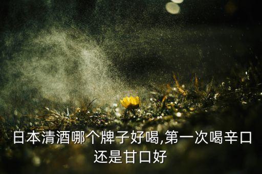 櫻井衛(wèi)浴推薦品牌