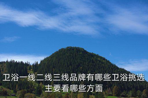 衛(wèi)浴一線二線三線品牌有哪些衛(wèi)浴挑選主要看哪些方面