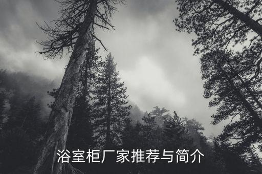 浴室柜廠家推薦與簡介