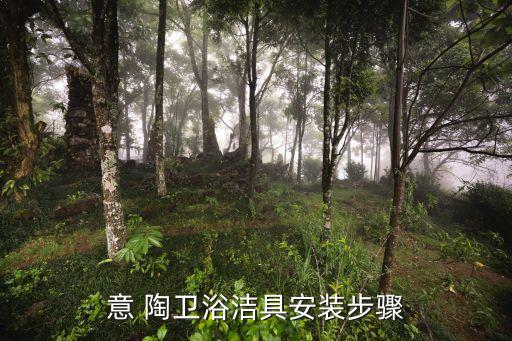 意 陶衛(wèi)浴潔具安裝步驟