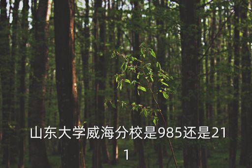  山東大學(xué)威海分校是985還是211
