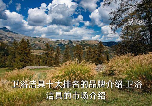  衛(wèi)浴潔具十大排名的品牌介紹 衛(wèi)浴潔具的市場(chǎng)介紹