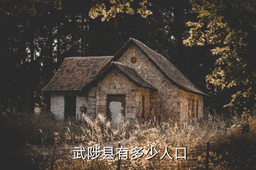  武陟縣有多少人口