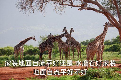 家裝地面自流平好還是 水磨石好家裝地面自流平好不好