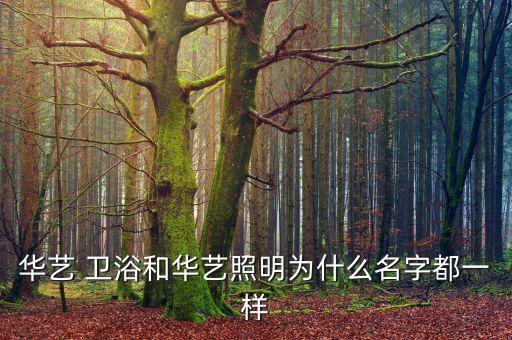 詔安燈飾衛(wèi)浴地址查詢電話