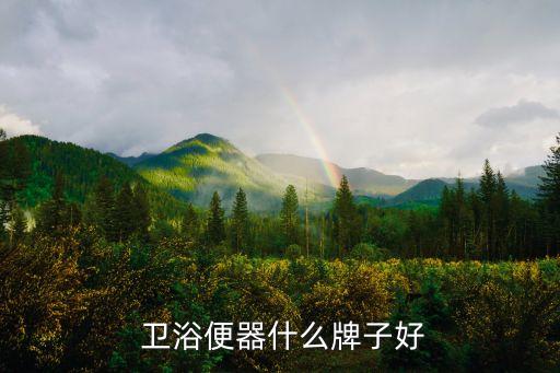 哪款衛(wèi)浴品牌質(zhì)量有保證,kopo衛(wèi)浴品牌的質(zhì)量怎么樣