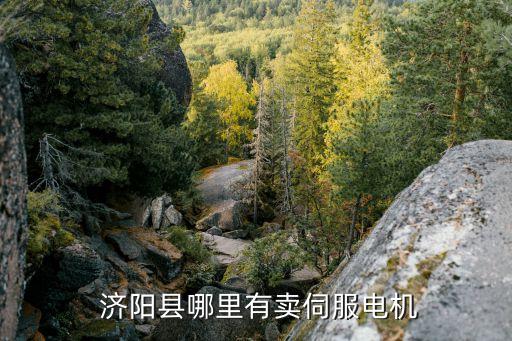  濟(jì)陽(yáng)縣哪里有賣伺服電機(jī)