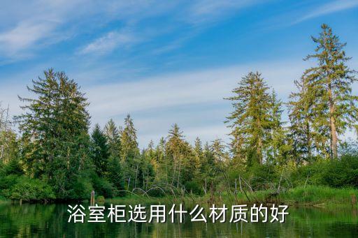 實(shí)木衛(wèi)浴柜訂制價(jià)格及圖片
