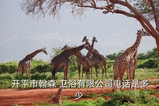  開平市翰森 衛(wèi)浴有限公司電話是多少