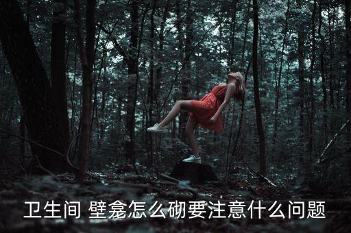 衛(wèi)浴瓷磚壁龕設(shè)計(jì)圖片欣賞