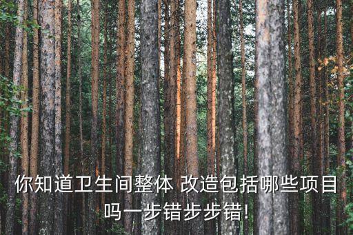 精裝衛(wèi)浴改造圖片大全,舊房改造衛(wèi)浴圖片