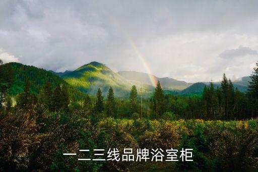 一二三線品牌浴室柜