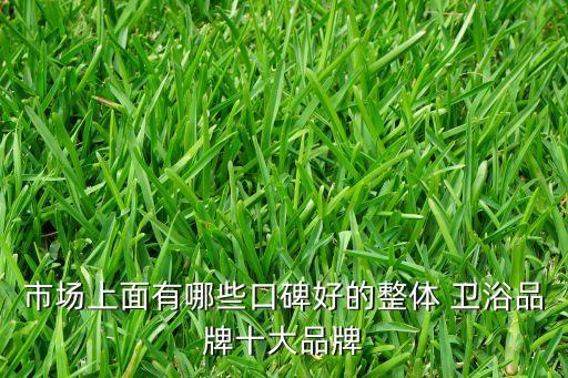 市場(chǎng)上面有哪些口碑好的整體 衛(wèi)浴品牌十大品牌