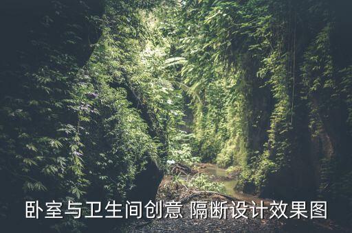 臥室與衛(wèi)生間創(chuàng)意 隔斷設(shè)計(jì)效果圖