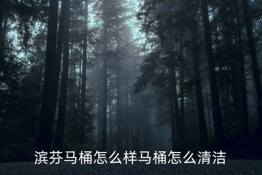 濱芬馬桶怎么樣馬桶怎么清潔