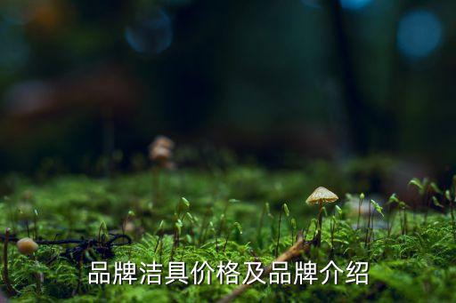 品牌潔具價格及品牌介紹