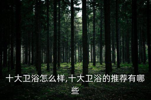 浴室柜品牌選擇日豐衛(wèi)浴