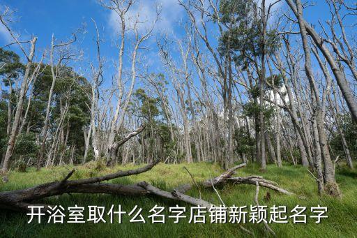 開浴室取什么名字店鋪新穎起名字