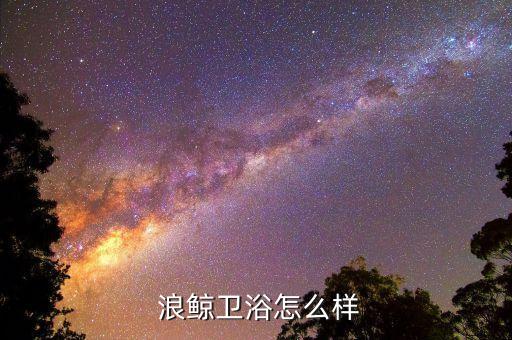 浪鯨衛(wèi)浴超級(jí)品牌價(jià)值,浪鯨品牌價(jià)值幾個(gè)億