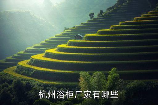杭州浴柜廠家有哪些