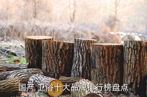 國(guó)產(chǎn) 衛(wèi)浴十大品牌排行榜盤點(diǎn)