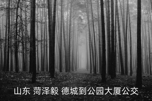 山東 菏澤毅 德城到公園大廈公交