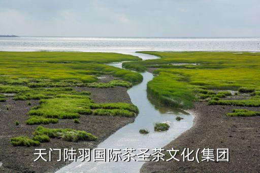  天門陸羽國際茶圣茶文化(集團