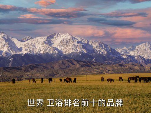 世界 衛(wèi)浴排名前十的品牌