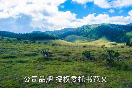公司品牌 授權(quán)委托書范文
