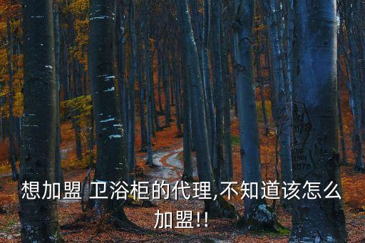 想加盟 衛(wèi)浴柜的代理,不知道該怎么加盟!!
