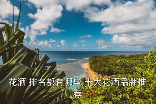 花灑 排名都有哪些,十大花灑品牌推薦