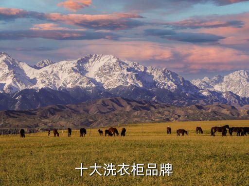 飛鶴歐派衛(wèi)浴品牌,歐派衛(wèi)浴怎么樣是不是十大品牌之一