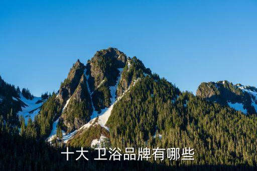 十大 衛(wèi)浴品牌有哪些