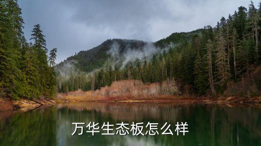泉州市萬(wàn)華衛(wèi)浴廠地址電話