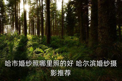 哈市婚紗照哪里照的好 哈爾濱婚紗攝影推薦