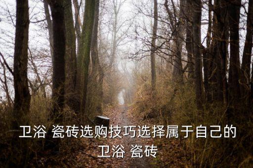  衛(wèi)浴 瓷磚選購技巧選擇屬于自己的 衛(wèi)浴 瓷磚