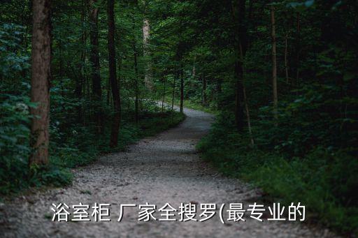 浴室柜 廠家全搜羅(最專業(yè)的
