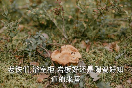 老鐵們,浴室柜 巖板好還是陶瓷好知道的來答