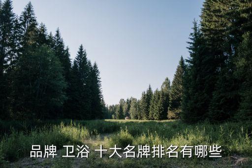 十大品牌衛(wèi)浴皇島店鋪,世界十大高端衛(wèi)浴品牌排行榜