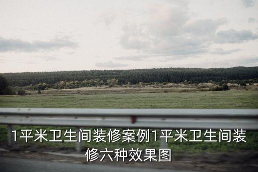 1平米衛(wèi)生間裝修案例1平米衛(wèi)生間裝修六種效果圖