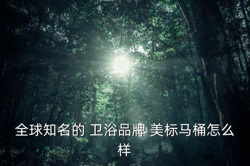 全球知名的 衛(wèi)浴品牌 美標(biāo)馬桶怎么樣